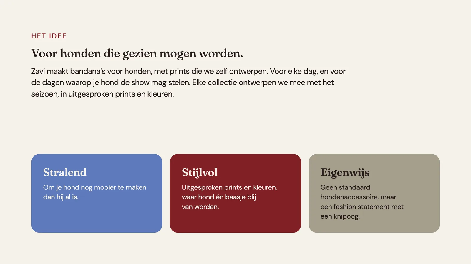 Zavi — Het idee